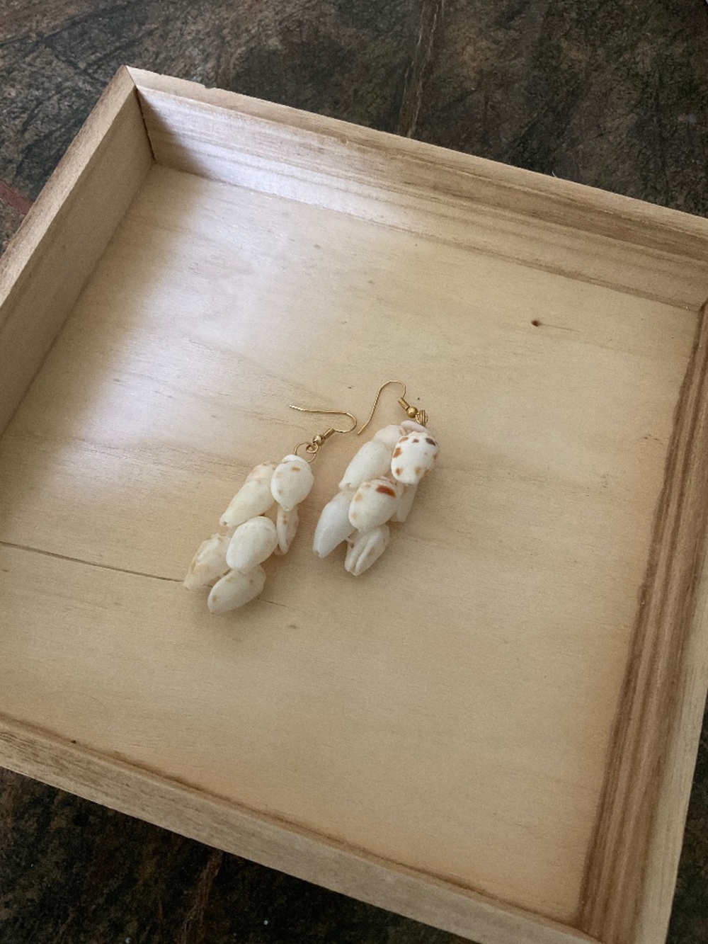 Shell Earrings
